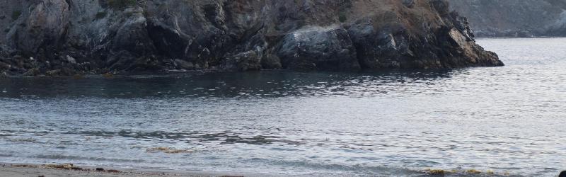 Featured image of post A Speck of Dust