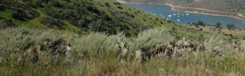 Featured image of post Just Say No? (To Satan's Apple)