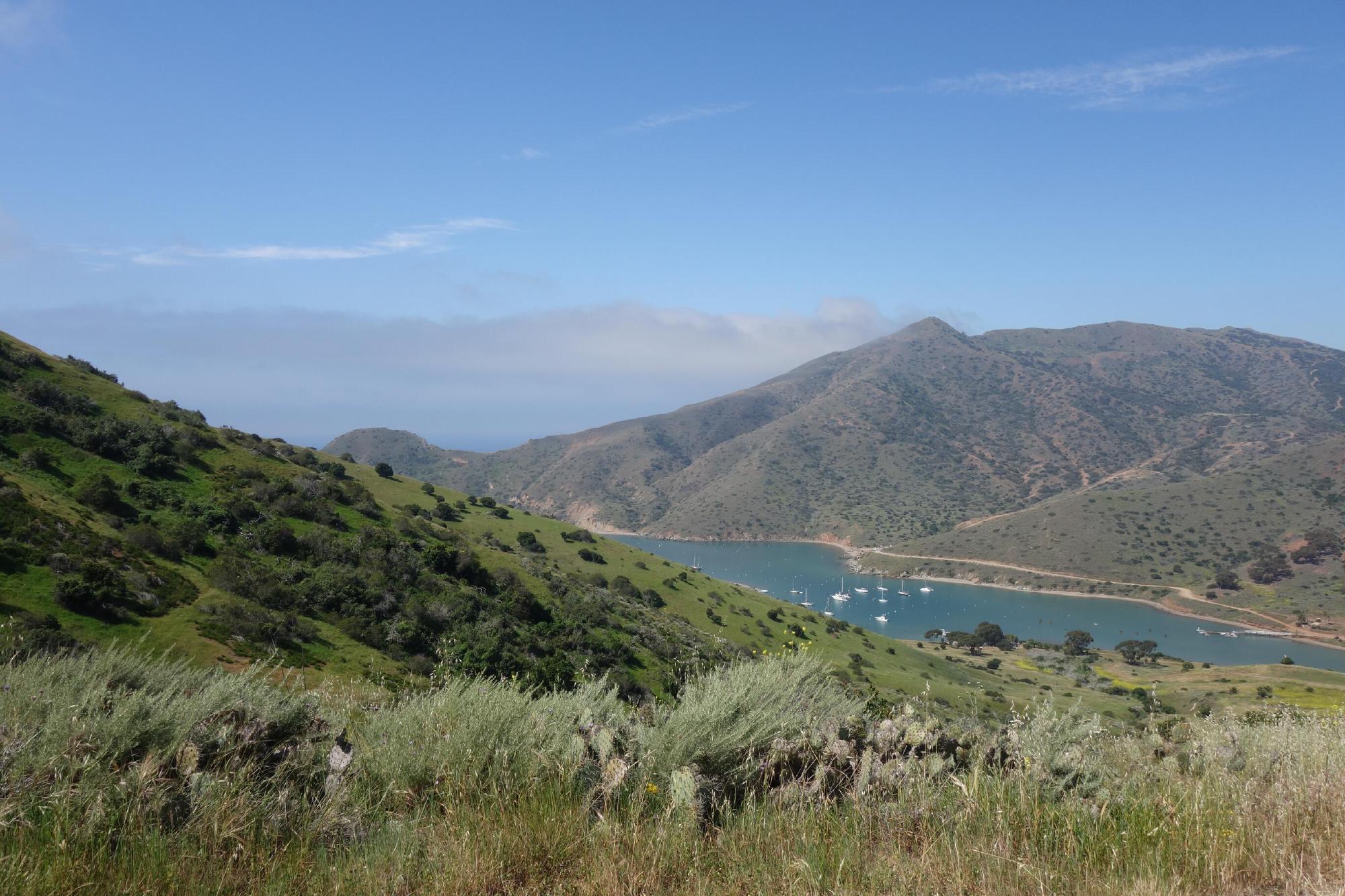 Featured image of post Just Say No? (To Satan's Apple)