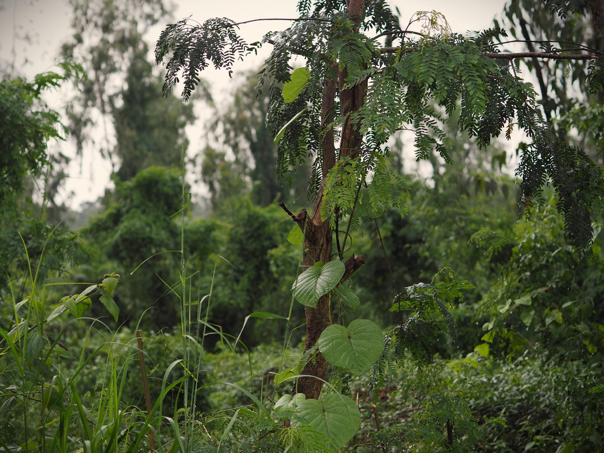 Featured image of post Life in Quarantine